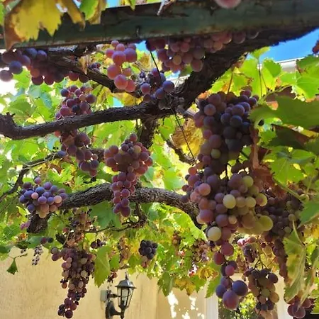 Maison In Vino Casa vacanze *